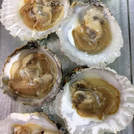 Horitzo By Pierre & 布拉内斯