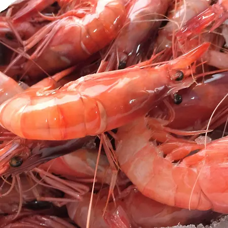 Horitzo By Pierre & Hotel 4*